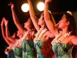 germaine’s luau packages germaine’s luau packages