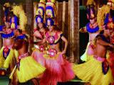 germaines luau germaines luau